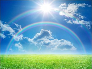 3E16C2205462033E31B8B736F00D895B