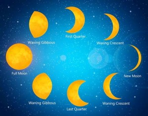 575695_550025721756689_974402108_n