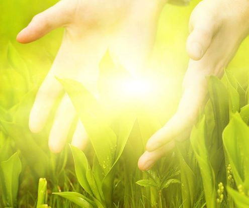 936013_558725980870818_421818469_n