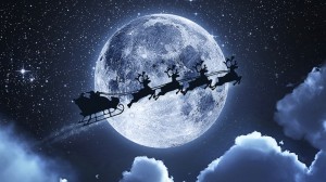 o0800044713511604123