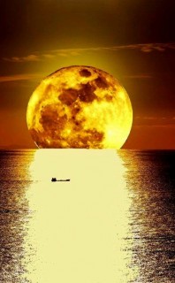 2cc88a622f73e1ce019da2f35bab46b5