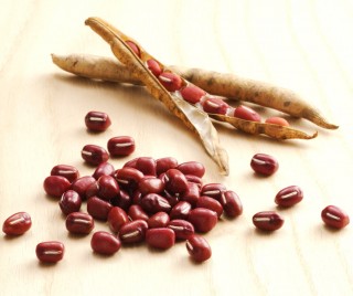 b4690883-1a1d-4e5a-809d-2d93647556d7