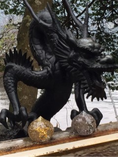 o0480064113923981496